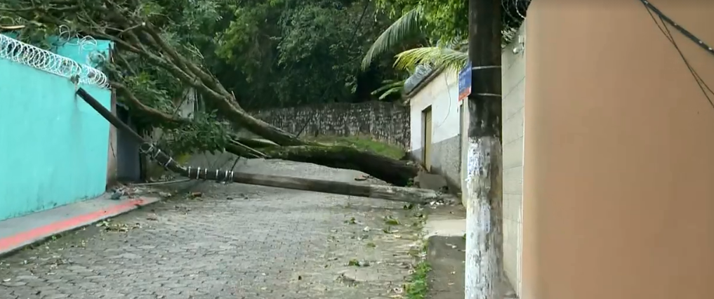 Chuva vento derruba quatro postes e uma árvore em rua de Vitória