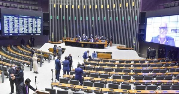 Elei Es A Import Ncia Do Voto Para Deputado E Senador A Gazeta