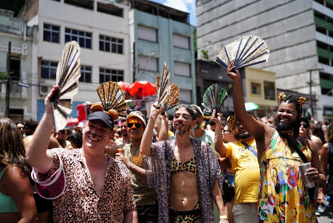 HZ Fotos Amigos da Onça agita terça feira de carnaval no Centro de