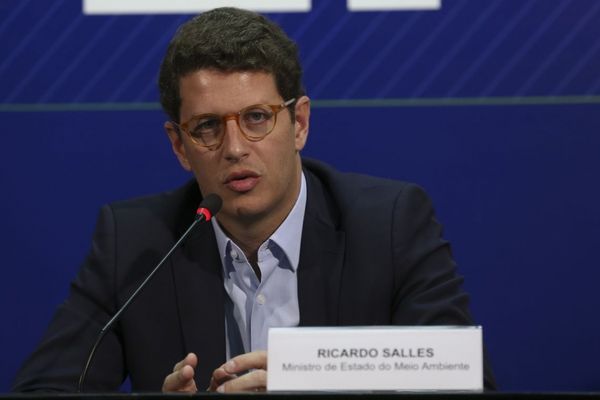 Ministro do Meio ambiente, Ricardo Salles. Crédito: Antonio Cruz/Agência Brasil