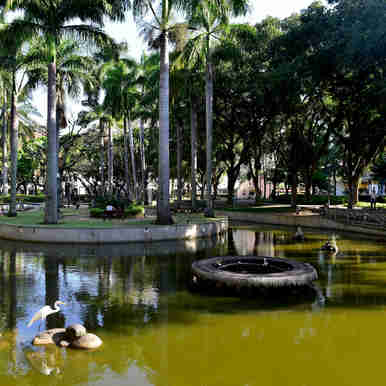 Imagem - Com restrições, parques de Vitória voltam a abrir ao público