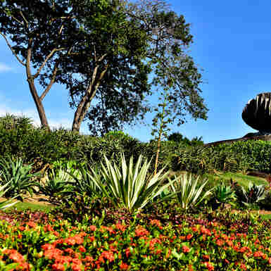 Imagem - Fotojornalismo: Parque Pedra da Cebola é reaberto após 4 meses