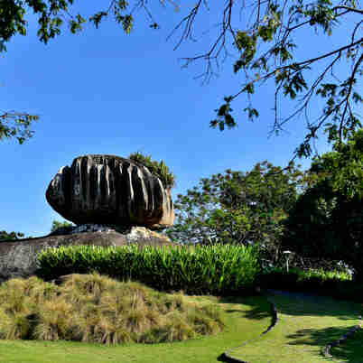 Imagem - Vitória estuda liberar entrada de cães em todos os parques urbanos