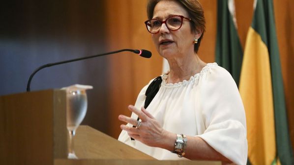 Em meio a uma investida ambiental da União Europeia que pode afetar interesses de exportadores brasileiros, a ministra Tereza Cristina, foi descrita como 'senhora desmatamento' e 'musa do veneno'