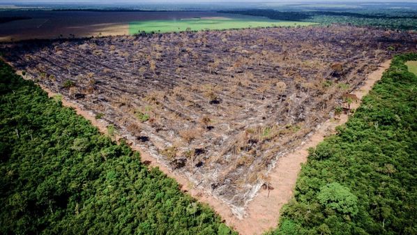 Até o dia 29 de outubro de 2021, a Amazônia registrou 795,7 km² de destruição, de acordo com dados do programa Deter, do Inpe (Instituto Nacional de Pesquisas Espaciais)