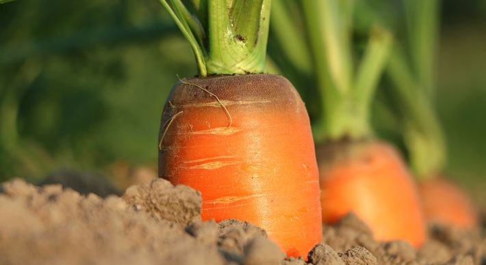 Carnes, frutas e hortaliças ficaram até 106% mais caras na Grande Vitória. Segundo especialistas, apesar da alta não ser permanente, o capixaba ainda vai sentir o impacto pelos próximos meses