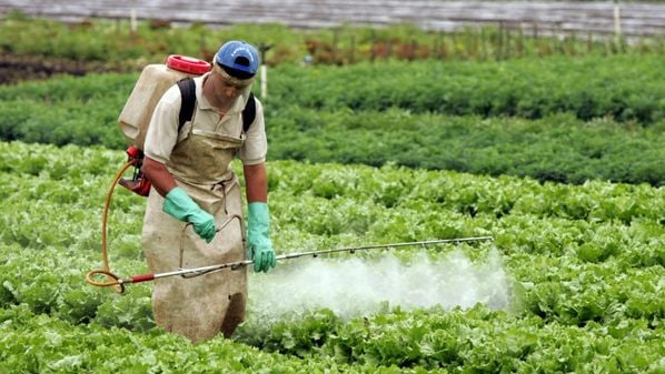 O Fórum Espírito Santense de Combate aos Impactos de Agrotóxicos e Transgênicos (Fesciat) tem sido responsável pelo debate de questões relativas aos impactos dos agrotóxicos na saúde da população e na degradação e contaminação dos recursos ambientais