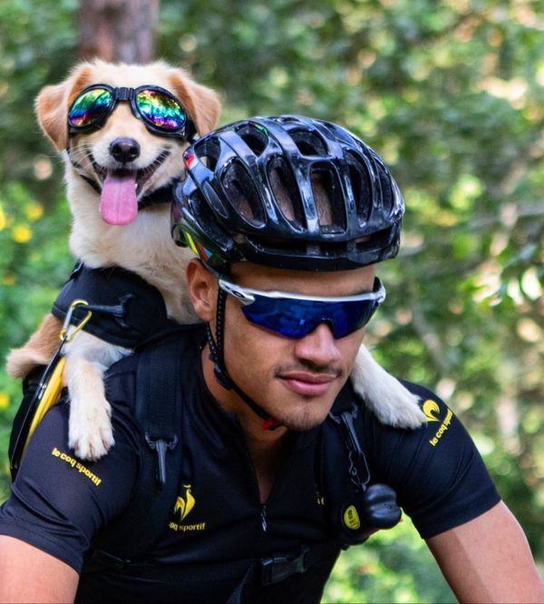 Yellow, a cachorrinha ciclista. Crédito: Arquivo pessoal