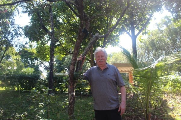 O padre Hugo Scheer mostra a árvore da espécie pau-brasil que foi plantada por João Paulo II. Crédito: Viviann Barcelos