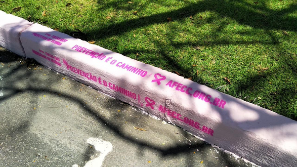 Meio-fio pintado de rosa. Crédito: Afecc