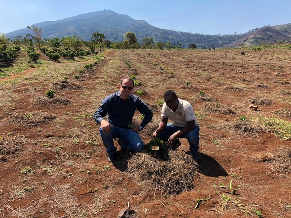 Capixabas levam cultura do café para Moçambique, na África por Fábio Partelli