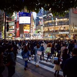 Para a juventude japonesa, os Yakuza são uns dinossauros que sobraram do período medieval. Com o pouco ingresso de jovens, as organizações estão envelhecendo e ficando cada vez mais com cara de “coisa de velho”, mesmo