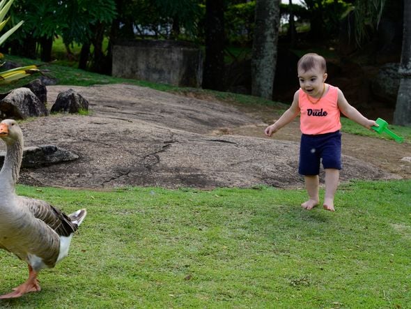  Guilherme Tonini, brincar no Parque da Cebola - Dia das Crianças  por Ricardo Medeiros
