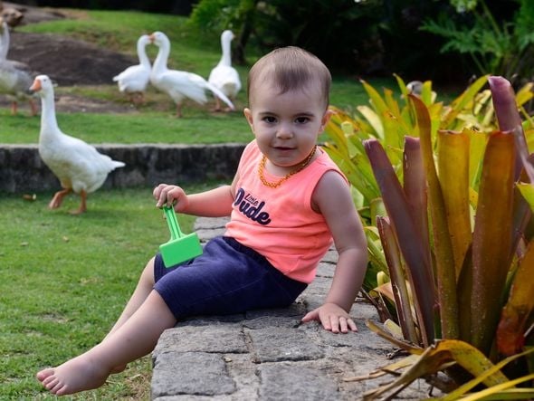  Guilherme Tonini, brincar no Parque da Cebola - Dia das Crianças  por Ricardo Medeiros