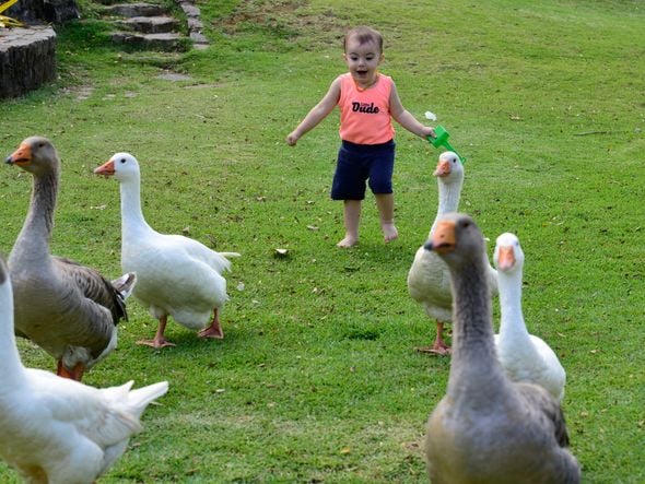  Guilherme Tonini, brincar no Parque da Cebola - Dia das Crianças  por Ricardo Medeiros