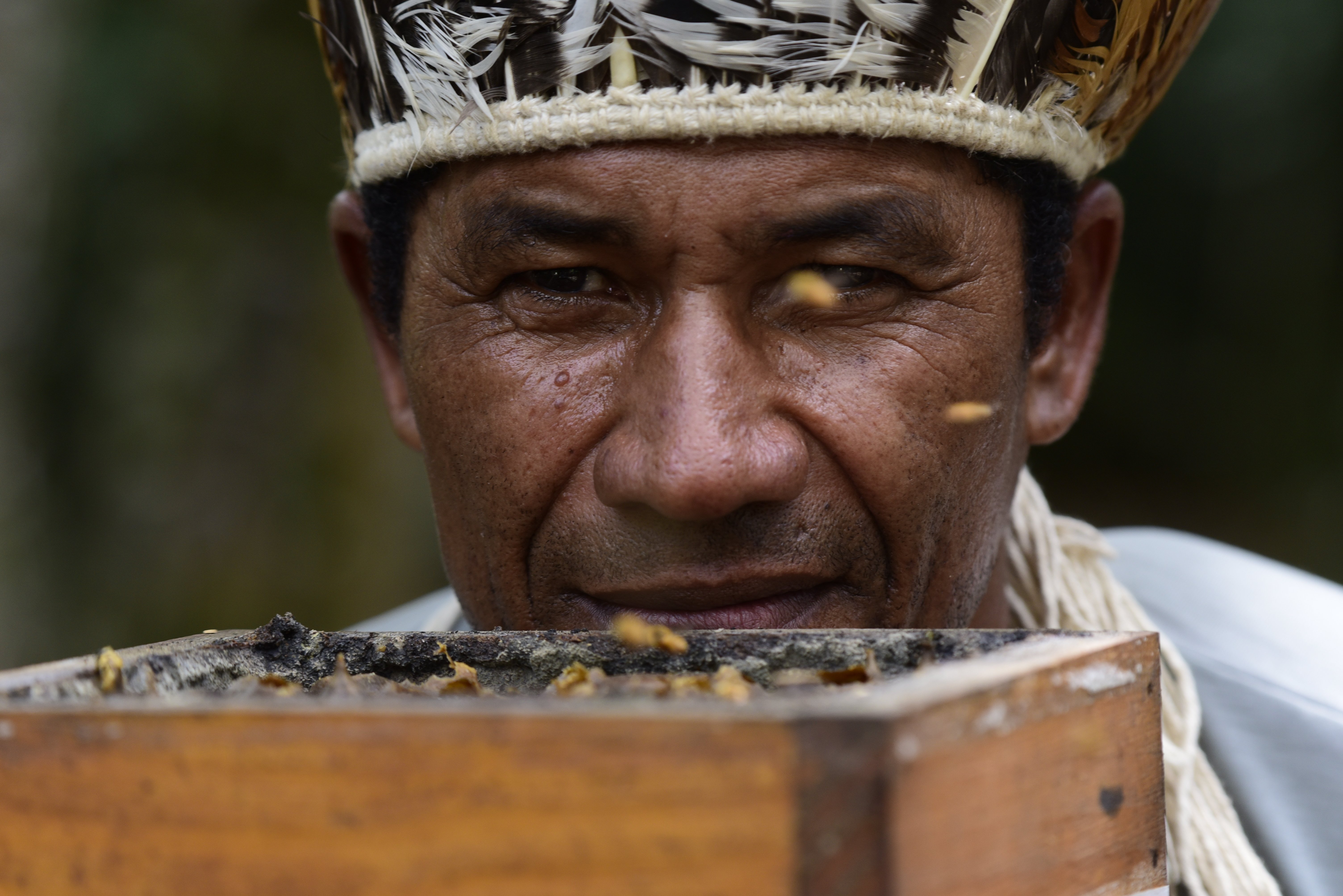 Com a reintrodução da criação de abelhas nativas, os índios de Aracruz puderam resgatar uma atividade já praticada pelos antepassados