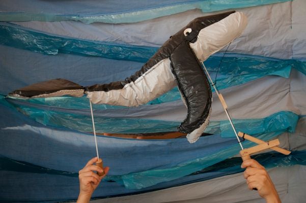 Jubarte. Crédito: Esteban Bisio