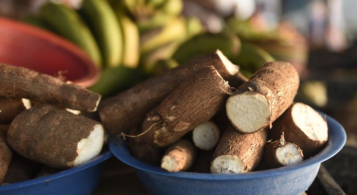 O Ministério da Agricultura divulgou o contato de produtores rurais que realizam entrega de alimentos sem agrotóxico no Estado