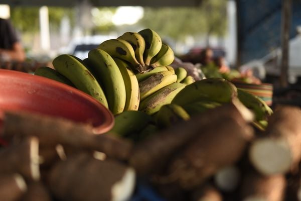 Data: 16/10/2019 - ES - Vitória - Feira de alimentos orgânicos na Praça do Papa - Editoria: Economia - Foto: Vitor Jubini - GZ