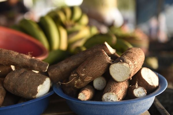 Feira de alimentos orgânicos na Praça do Papa 