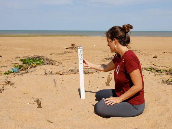 Flávia Ribeiro, bióloga do Projeto Tamar de Regência, junto a um local de desova de tartaruga marinha - Linhares  por Edson Chagas 