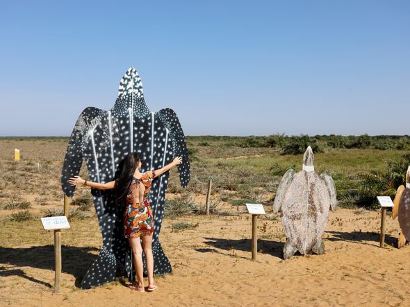 Projeto Tamar de Regência - Linhares por Edson Chagas 