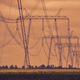 Imagem - Gambá deixa bairros de São Mateus sem energia elétrica