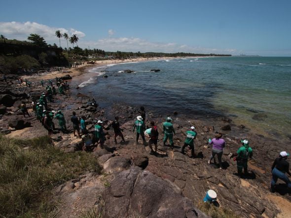 Equipes e voluntários trabalham para  conter manchas na praia Pedra de Xaréu,  no município do Cabo de Santo Agostinho, em Pernambuco por ALEXANDRE GONDIM/JC IMAGEM/ESTADÃO CONTEÚDO