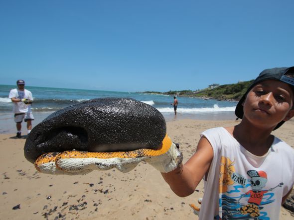 Equipes e voluntários trabalham para  conter manchas na praia Pedra de Xaréu,  no município do Cabo de Santo Agostinho, em Pernambuco por ALEXANDRE GONDIM/JC IMAGEM/ESTADÃO CONTEÚDO