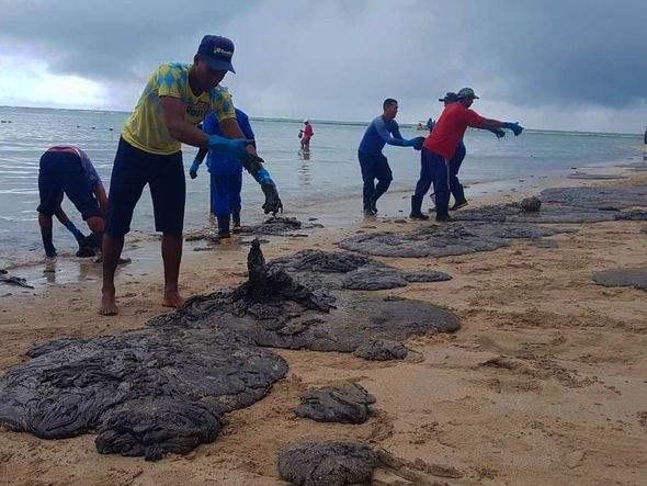 Manchas de óleo tomam conta da Praia dos Carneiros, no litoral pernambucano  por Clemente Coelho Júnior/Instituto Bioma Brasil