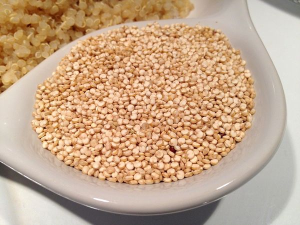 Semente de Quinoa. Crédito: Pixabay