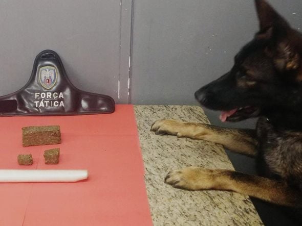 Operação caça traficantes no Sul do Espírito Santo por Polícia Militar