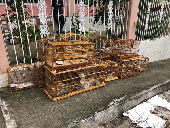 Imagens da casa do suspeito de estuprar oito mulheres no ES por Divulgação/Polícia Civil