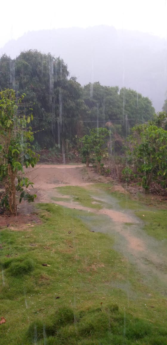 Chuva de granizo atinge interior de Afonso Cláudio por Rônald Delpupo via Whatsapp
