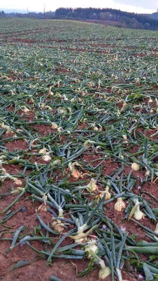 Chuva de granizo em Santa Maria de Jetibá por Internauta via Whatsapp