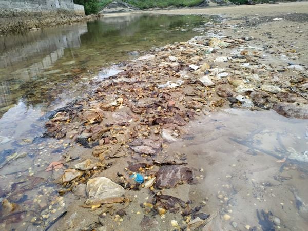 Rio Una, em Guarapari, estava tomado por materiais descartados indevidamente . Crédito: Internauta