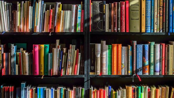 Pesquisa Painel do Varejo de Livros no Brasil, da Nielsen e do SNEL, mostram queda nas vendas em março, mas setor ainda apresenta resultados positivos em 2020