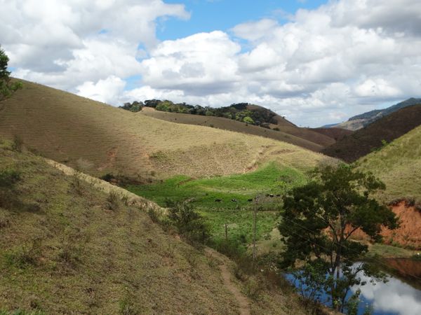 A área mais verde foi irrigada por um método para reutilizar a água da pecuária. Crédito: Divulgação/Coocafé