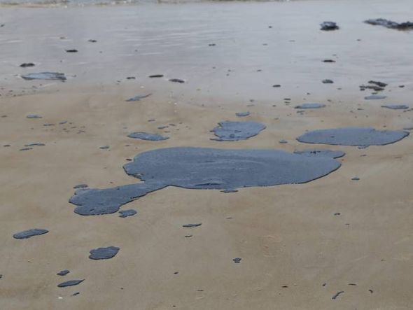 Óleo atinge praia de Ilheus, na Bahia por José Nazal | Divulgação