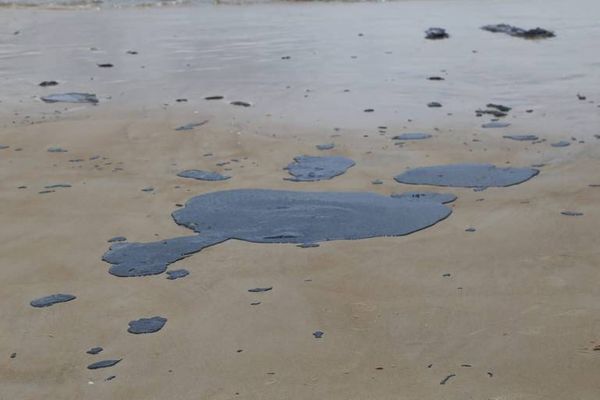 oleo atinge praia de ilheus na bahia 90207 article