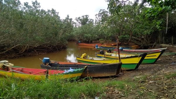 Os barcos dos pescadores continuam na água. Eles esperam poder voltar a pescar no Rio Doce, mas não sabem se isso vai acontecer