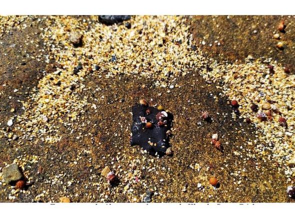 Pequenas manchas de óleo foram identificadas no Norte da Ilha de Santa Bárbara, em Abrolhos por Divulgação/ Marinha