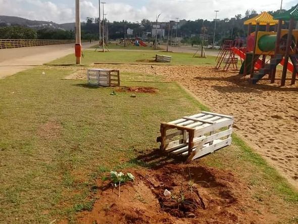 Cada ipê com a grade de proteção teve um custo de R$ 250 por Divulgação