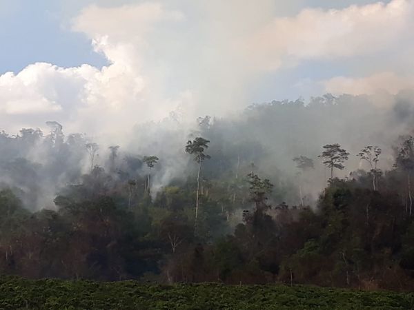 Área queimada fica na divisa entre os municípios de São Domingos do Norte e Governador Lindenberg