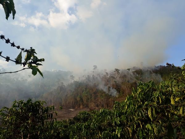 Área queimada fica na divisa entre os municípios de São Domingos do Norte e Governador Lindenberg