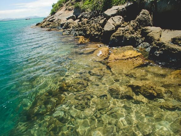 Águas cristalinas e muita beleza na Ilha dos Franceses em Itapemirim por PMI