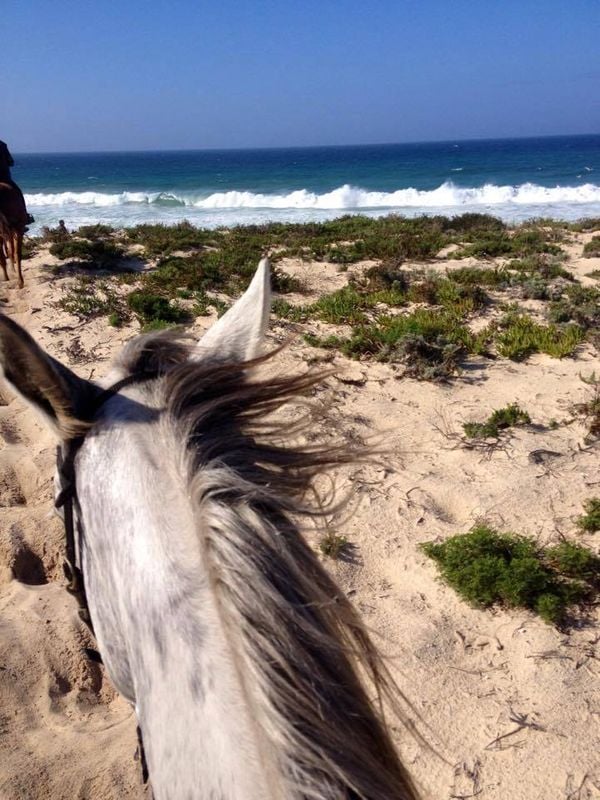 Confira pequenos luxos para desfrutar no Alentejo em Portugal. Crédito: Divulgação