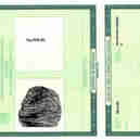 Imagem - Vitória recebe mutirão para emissão de documentos para público de baixa renda