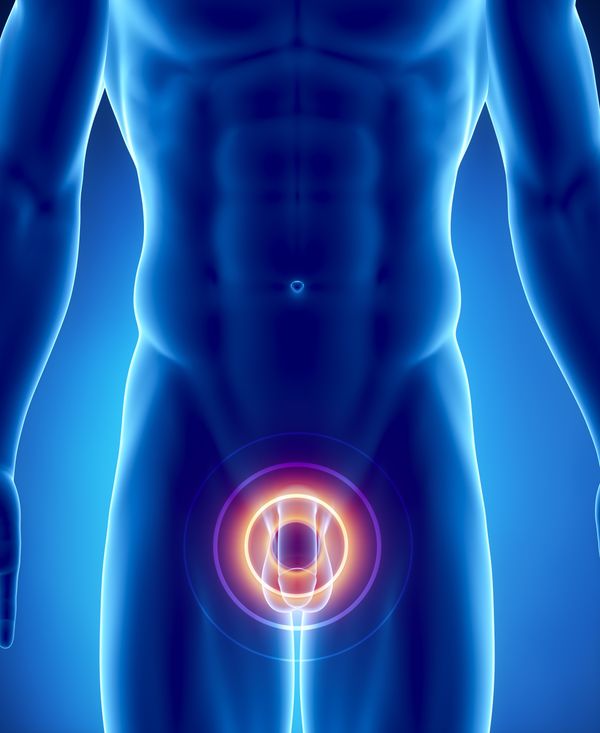 Câncer de próstata: novembro azul chama a atenção para doença nos homens