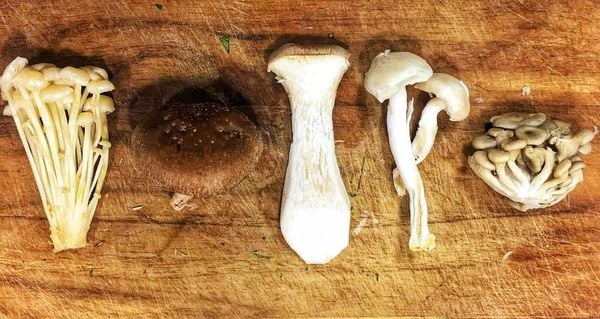 Cogumelos enoki, shiitake, eryngui, shimeji branco e shimeji preto. Crédito: Renato Costa